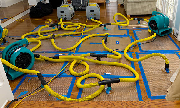 Professional Emergency Water Removal technician working in Orange City, IA